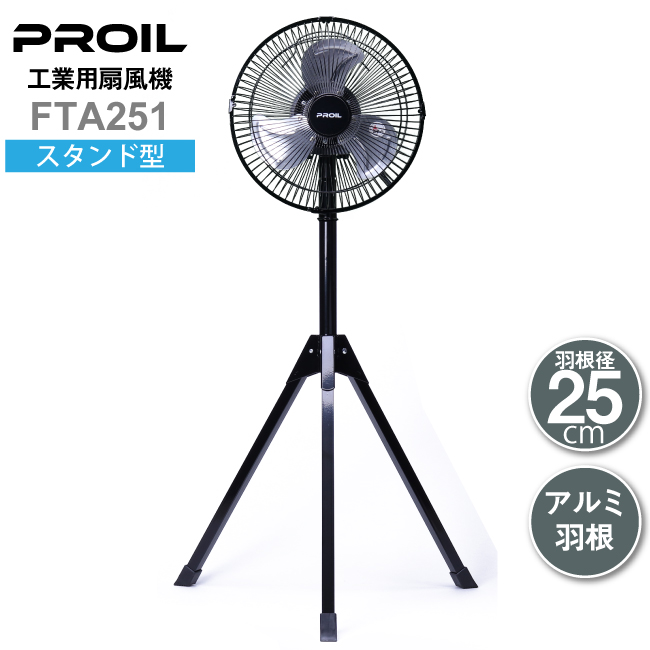 ftp251